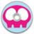 SKULLY CD Icon